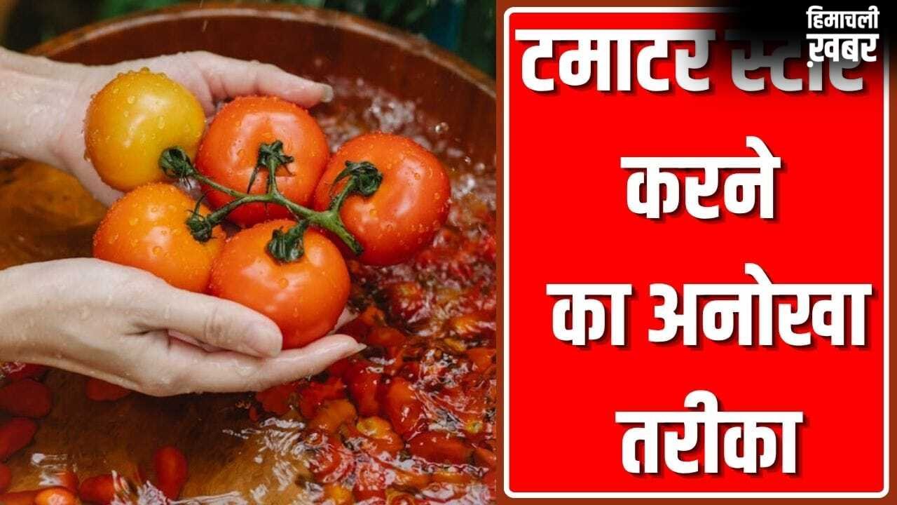 महिला ने टमाटर स्टोर करने का बताया ऐसा गजब तरीका, कई महीने नहीं होंगे खराब!