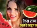 Watermelon: न तमिलनाडु, न आंध्र प्रदेश, भारत में कहां है तरबूज का गढ़? UAE-मालदीव तक डिमांड​