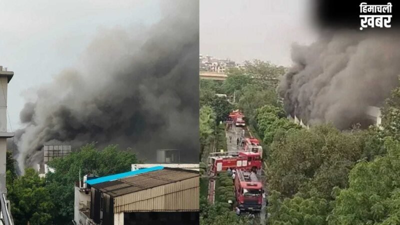 नोएडा की स्पार्क मिंडा कंपनी में लगी भीषण आग, आसमान में छाया धुएं का गुबार; फायर ब्रिगेड की 20 गाड़ियां मौजूद​