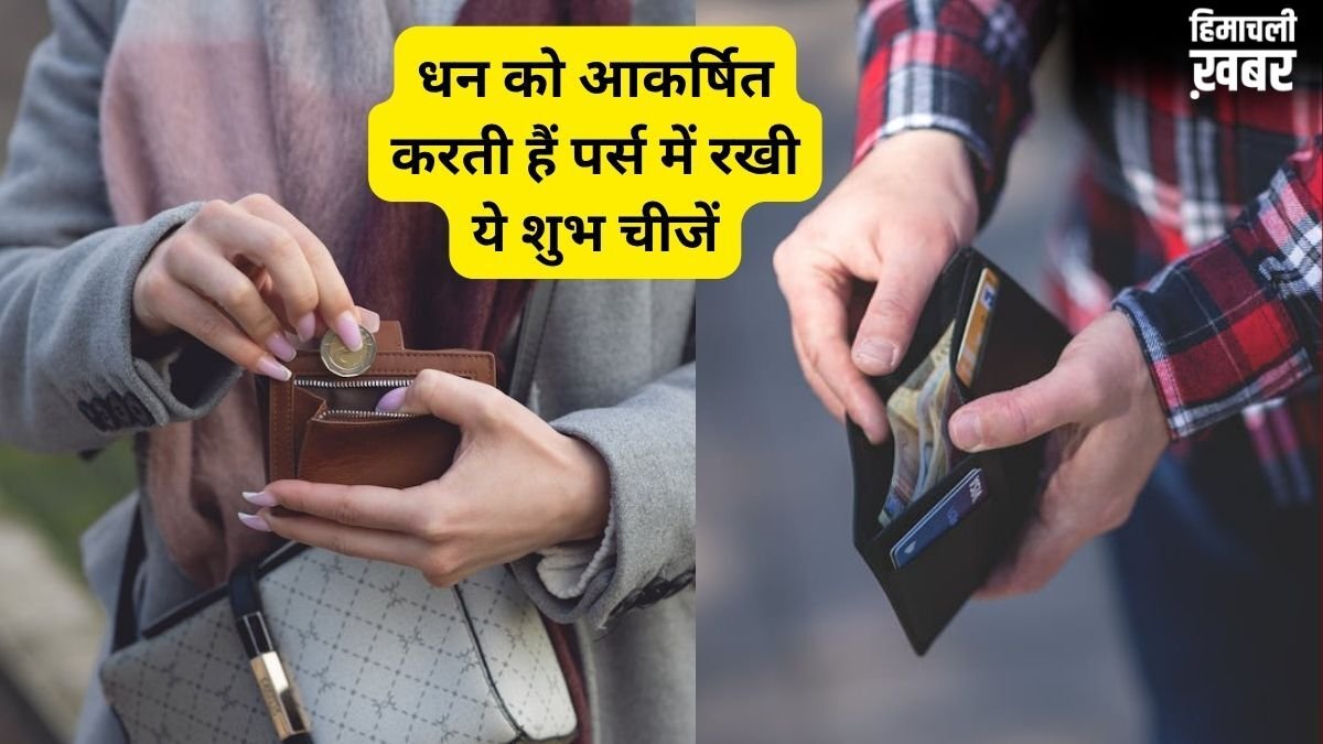 पर्स में पैसों के अलावा रखें ये शुभ चीजें, धन लाभ और बरकत के खुलेंगे रास्ते​