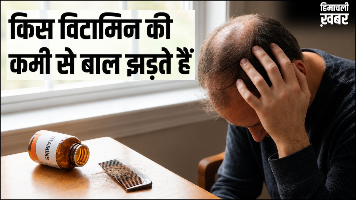 किस विटामिन की कमी से बाल झड़ते हैं? हाथ लगाते ही टूटने लगते हैं, कैसे पहुंचाएं बालों को सही पोषण​