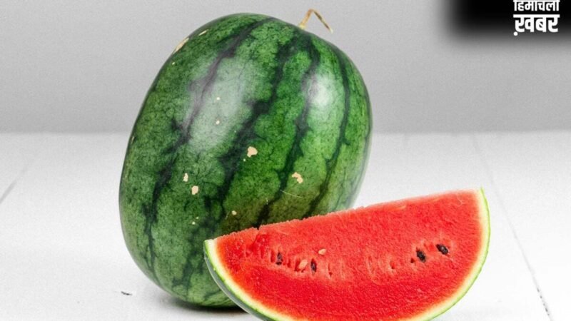 तरबूज खरीदते समय न करें गलती, ये 2 निशान देंगे Perfect मीठे-लाल फल की गारंटी! Viral Trick​