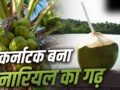 Coconut: टूटा केरलम का रिकॉर्ड, कर्नाटक कैसे बना देश को सबसे ज्यादा नारियल देने वाला राज्य?​