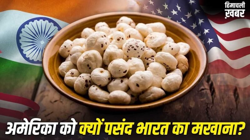 Makhana: अमेरिका भारतीय मखानों का सबसे बड़ा खरीदार क्यों? 5 बड़ी वजह​