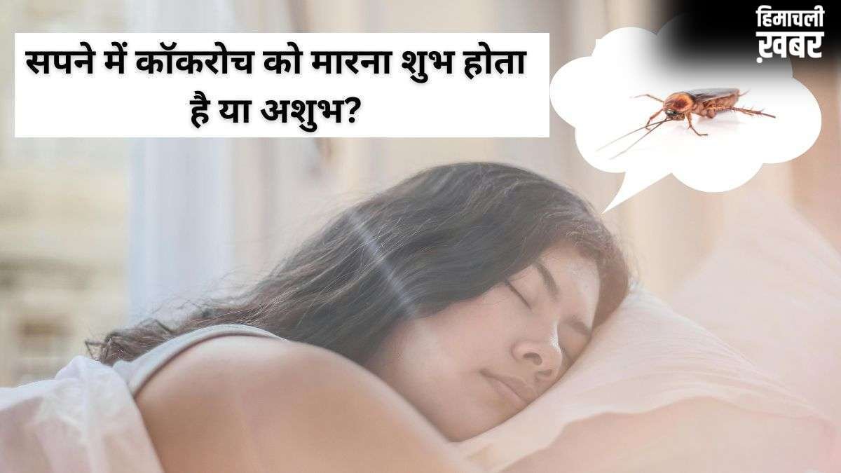 Cockroach Dream Meaning: सपने में बार-बार कॉकरोच देखना किस बात का संकेत होता है? जानें जीवन पर इसका प्रभाव