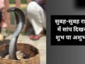 सुबह-सुबह जब अचानक रास्ते में दिख जाए सांप, तो इसका क्या मतलब होता है? जानें इसके पीछे के छिपे बड़े संकेत​