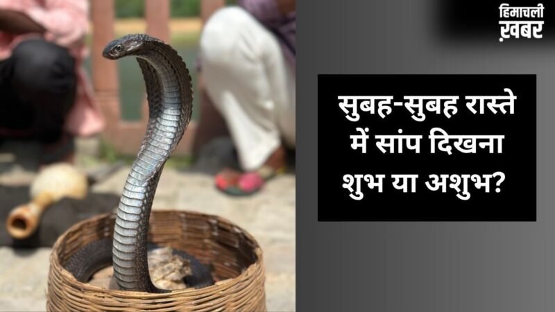 सुबह-सुबह जब अचानक रास्ते में दिख जाए सांप, तो इसका क्या मतलब होता है? जानें इसके पीछे के छिपे बड़े संकेत​
