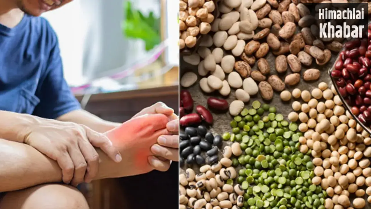 Dal Side Effects: दाल खाने के शौकीन हैं तो हो जाएं सावधान, यूरिक एसिड बढ़ने पर जहर बन जाती हैं ये दालें​