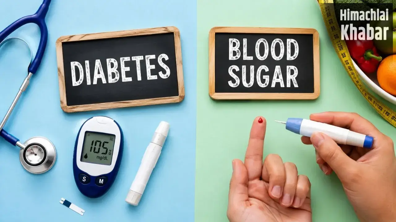 Diabetes Or Blood Sugar: क्या डायबिटीज और ब्लड शुगर एक ही बीमारी है या अलग? आसान भाषा समझें​
