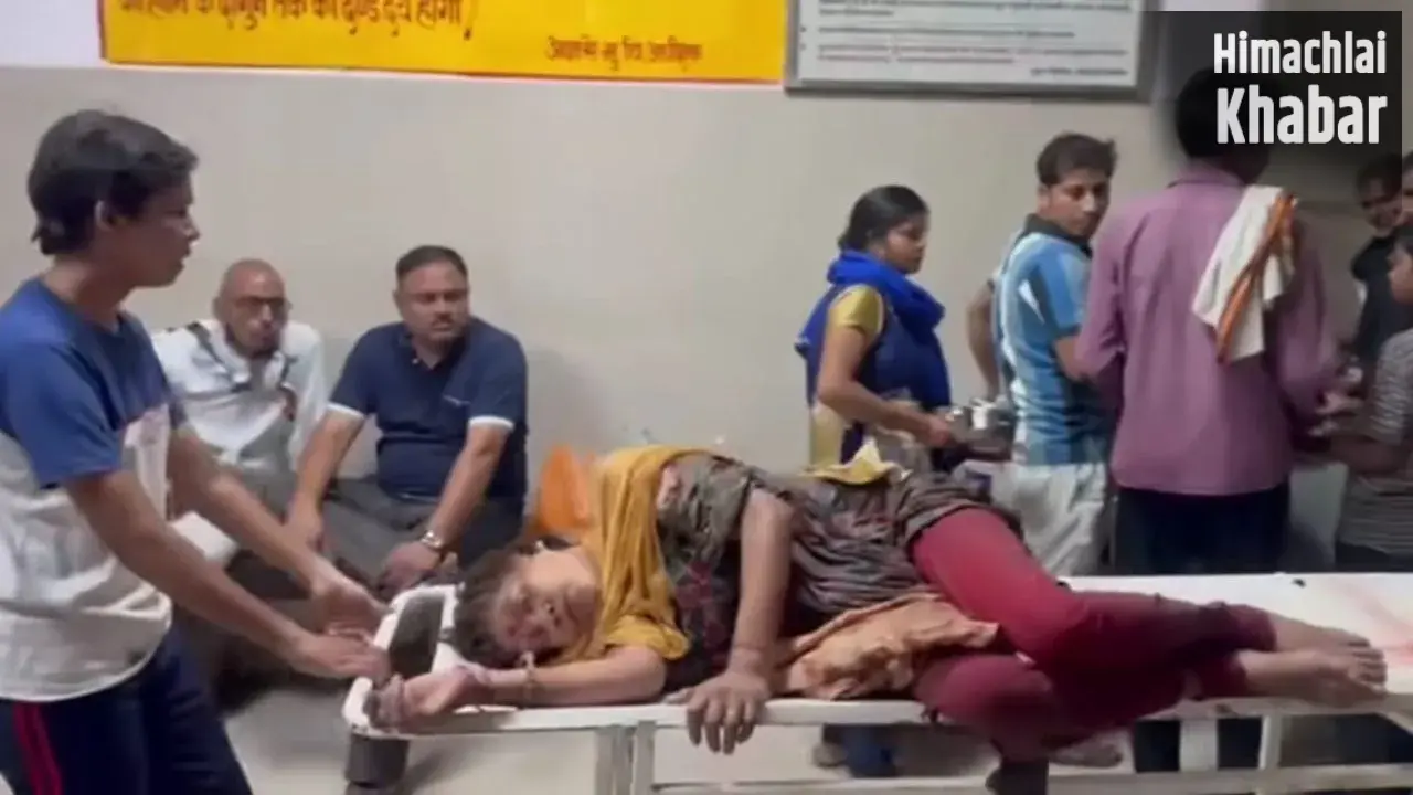 कानपुर में कुत्तों का खौफनाक हमला: तीन खूंखार रॉटविलर ने महिला को नोचा, डिलीवरी बॉय ने बचाई जान​