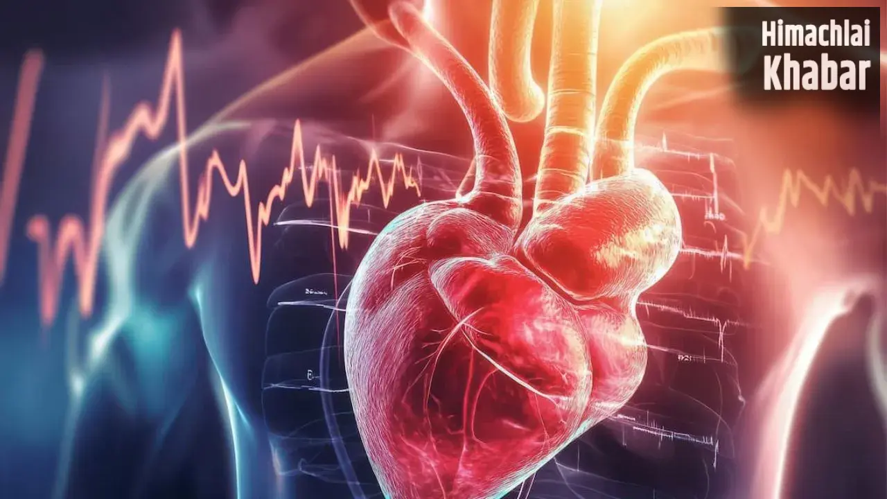 Heart Attack Risk : सुबह की ये 4 गलतियां बढ़ा सकती हैं हार्ट अटैक का खतरा, रोज करते हैं तो हो जाएं सतर्क