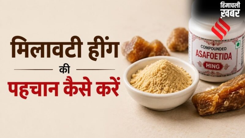 कहीं मिलावटी हींग तो नहीं खा रहे, सिर्फ 1 आसान ट्रिक से करें पहचान​