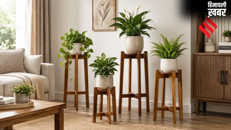 लिविंग रूम को ऐसा सजाएं कि देखने वाला तारीफ करते न थके, इन वूडन प्लांट स्टैंड्स से दें नेचुरल लुक​