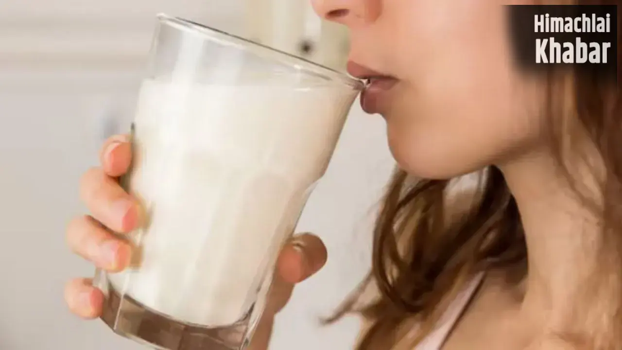 Daily Milk Intake: क्या जरूरत से ज्यादा दूध पीना भी दे सकता है बीमारियों को निमंत्रण, कितनी मात्रा है फायदेमंद