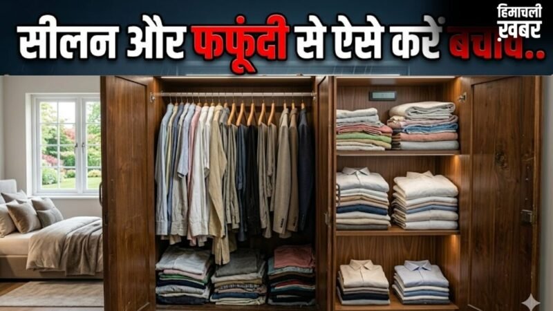 मानसून आने से पहले ही अलमारी में रख दें ये चीजें, नहीं लगेगी फफूंदी​