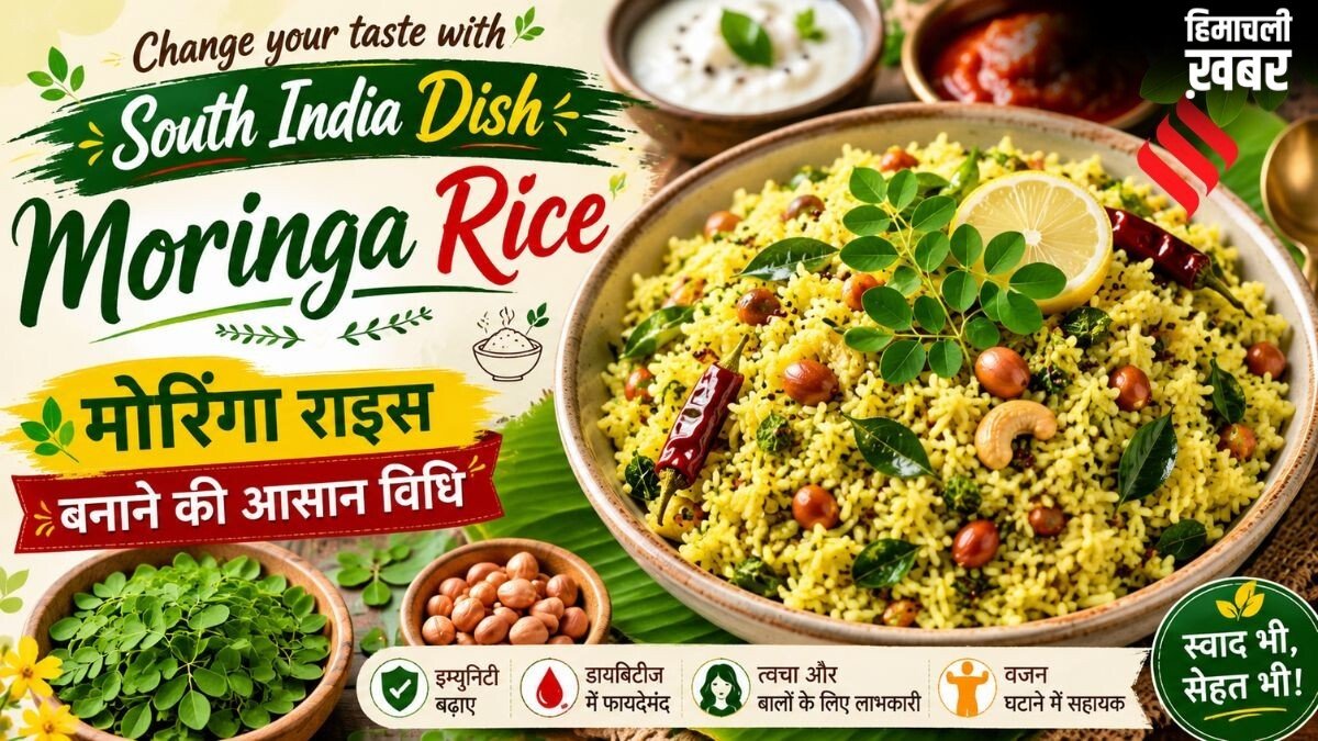 अब ट्राई करें मोरिंगा राइस, यहां देखें साउथ इंडियन स्टाइल में बनाने की आसान रेसिपी