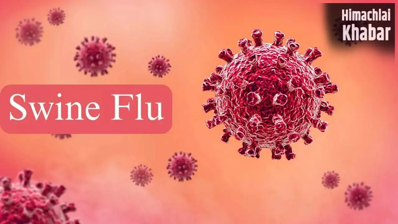 Swine Flu Prevention: बारिश के मौसम में क्यों बढ़ जाता है स्वाइन फ्लू का खतरा? जानें कैसे करें बचाव​