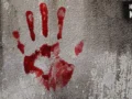 लंच के बहाने बुलाकर की हत्या, 24 वर्षीय युवक की मौत से सनसनी, वाशिम में 4 आरोपी गिरफ्तार