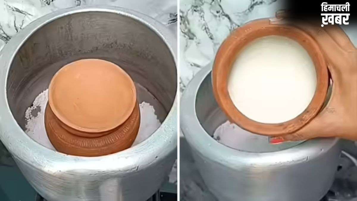 अब कुकर में जमेगा गाढ़ा-मलाईदार दही, बस नमक वाली ट्रिक का करें इस्तेमाल, फटाफट जम जाएगा Curd​