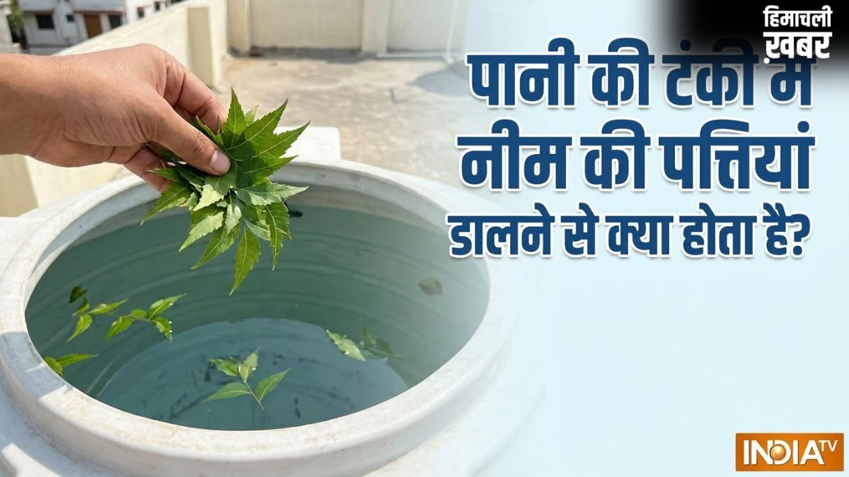 पानी की टंकी में नीम की पत्तियां डालने से क्या होता है?​