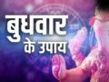 पूर्वाषाढ़ा नक्षत्र और बुधवार का शुभ संयोग, हर मुश्किल दूर करेंगे ये अचूक उपाय, सुधरेगा करियर और शादीशुदा जीवन