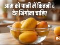 आम को पानी में कितनी देर भिगोना चाहिए, सही तरीका क्या है जिससे केमिकल और गर्मी निकल जाए​