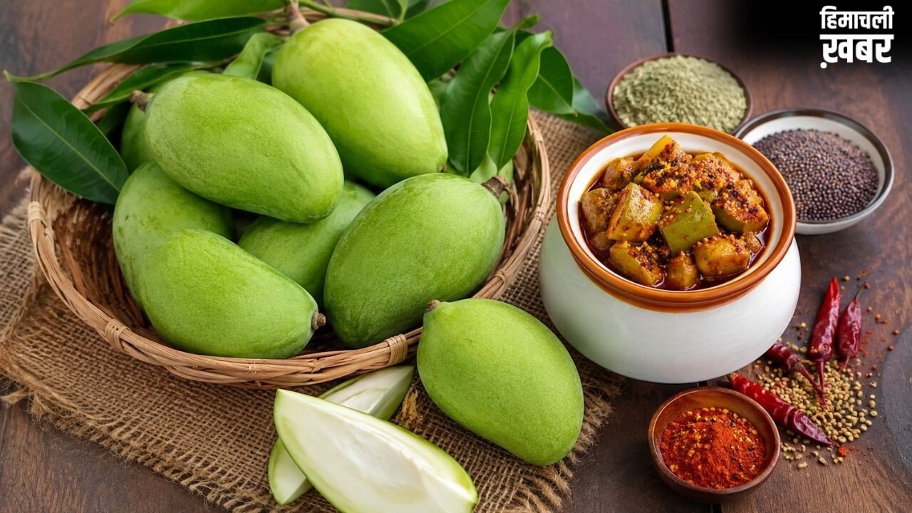 जल्दी खराब हो जाता है अचार, कच्चे आम खरीदते समय रखें इन 6 बातों का ध्यान​