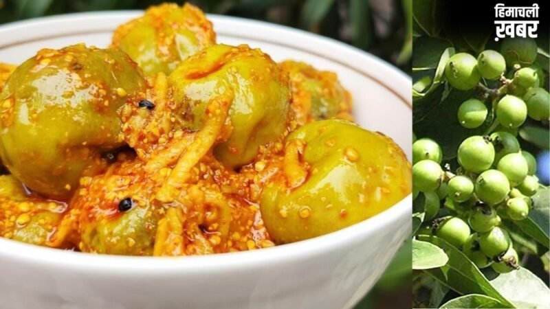 एक बार बनाएं सालभर चलाएं ये राजस्थानी लसूड़े या गूंदे का चटपटा अचार, नोट कर लें रेसिपी​