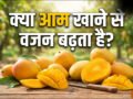 क्या आम खाने से वजन बढ़ता है, जानिए 1 आम में कितनी कैलोरी होती है?