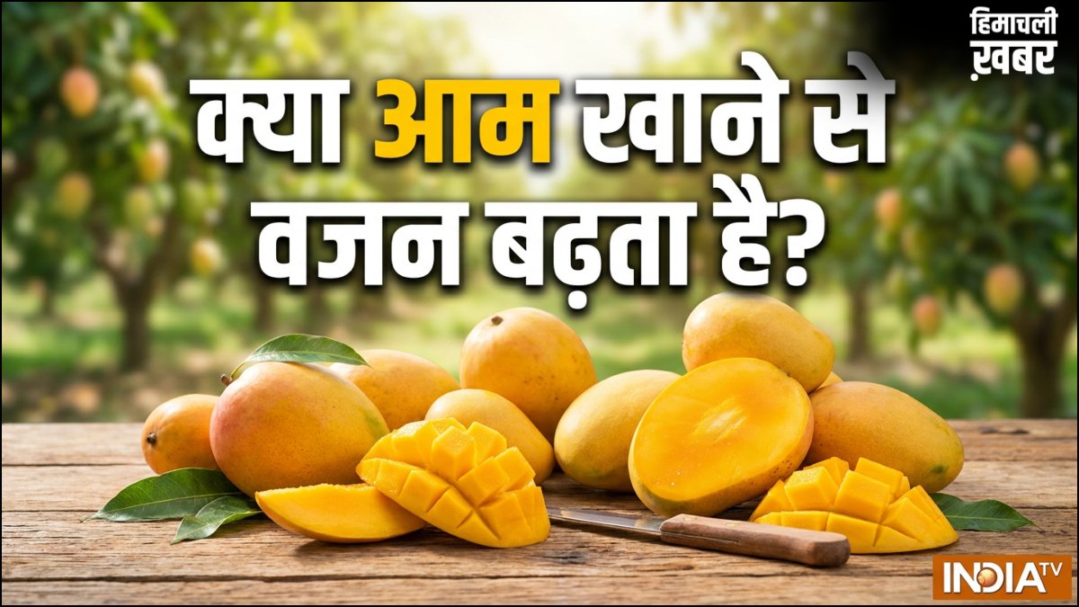 क्या आम खाने से वजन बढ़ता है, जानिए 1 आम में कितनी कैलोरी होती है?