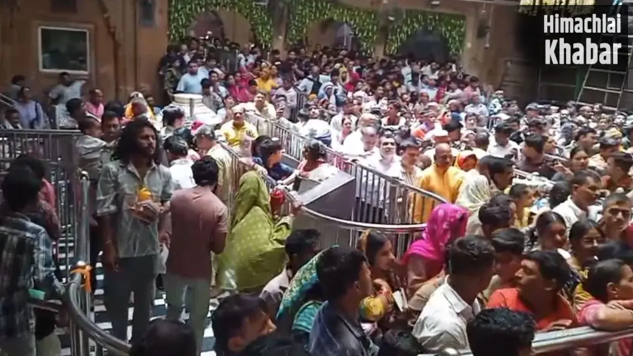 Ganga Dussehra 2026: गंगा दशहरा पर वृंदावन में उमड़ा आस्था का सैलाब, यमुना घाटों पर श्रद्धालुओं की भारी भीड़