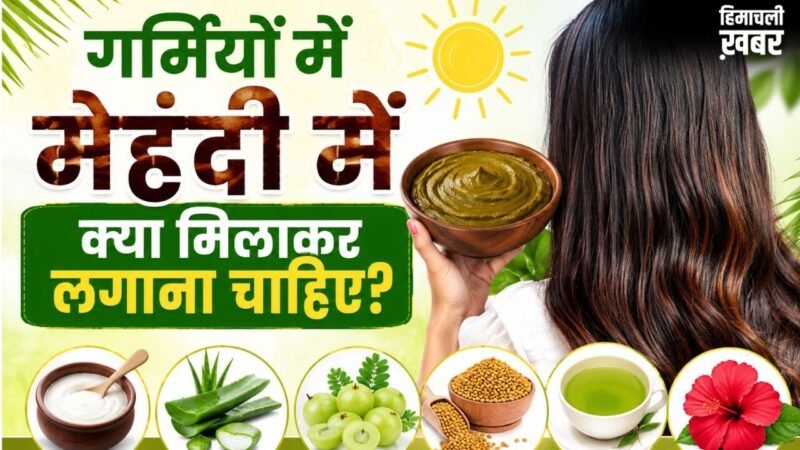 मेहंदी में दही, आंवला या एलोवेरा, जानें किस चीज से मिलता है क्या फायदा​