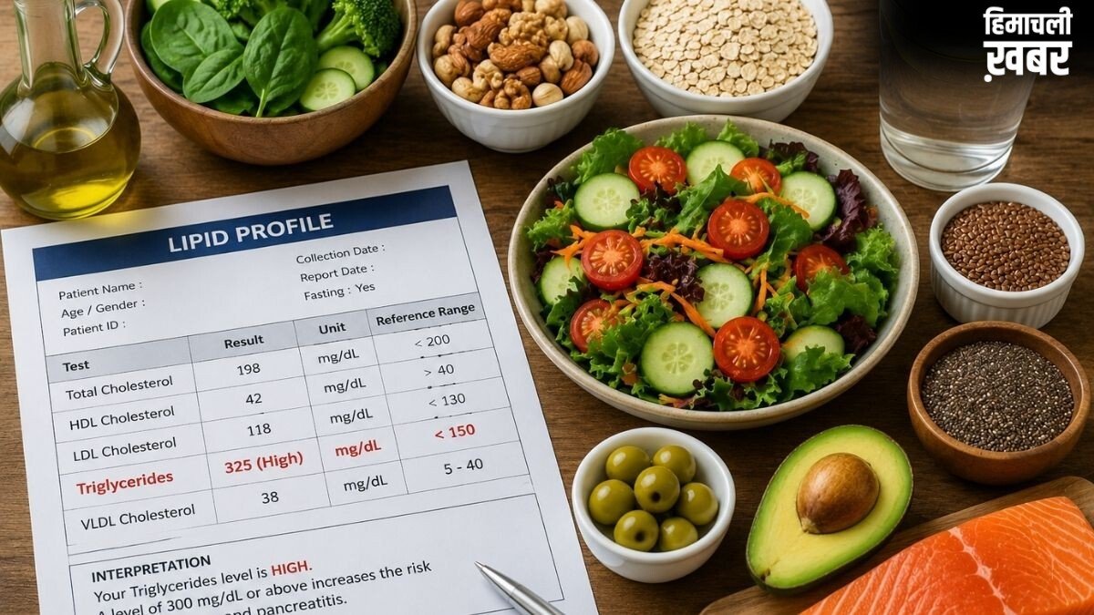 Triglycerides का स्तर 300 mg/dl के पार होना दिल के लिए है खतरनाक, कार्डियोलॉजिस्ट से जानिए इसे कंट्रोल करने के डाइट टिप्स और सही तरीका​