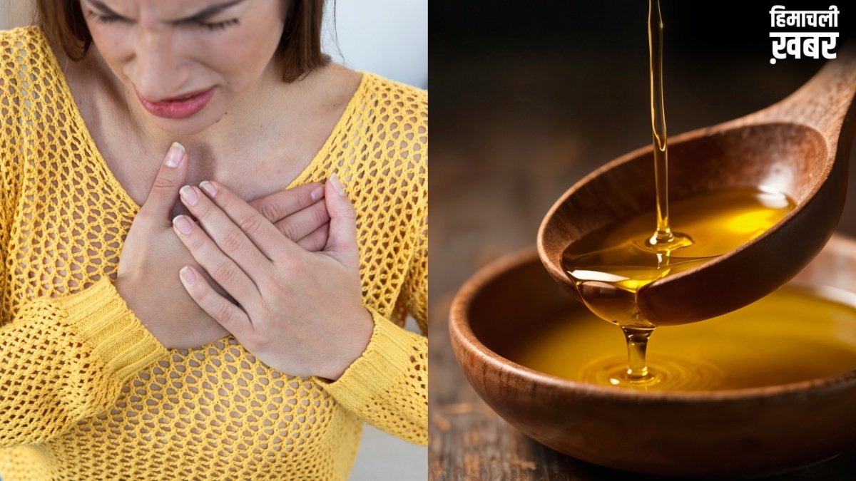 ऑलिव ऑयल या सरसों का तेल? जानें दिल की सेहत के लिए कौन सा है ज्यादा फायदेमंद