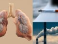 वायु प्रदूषण या स्मोकिंग? एक्सपर्ट से जानें फेफड़ों को किससे पहुंचता है ज्यादा नुकसान?​