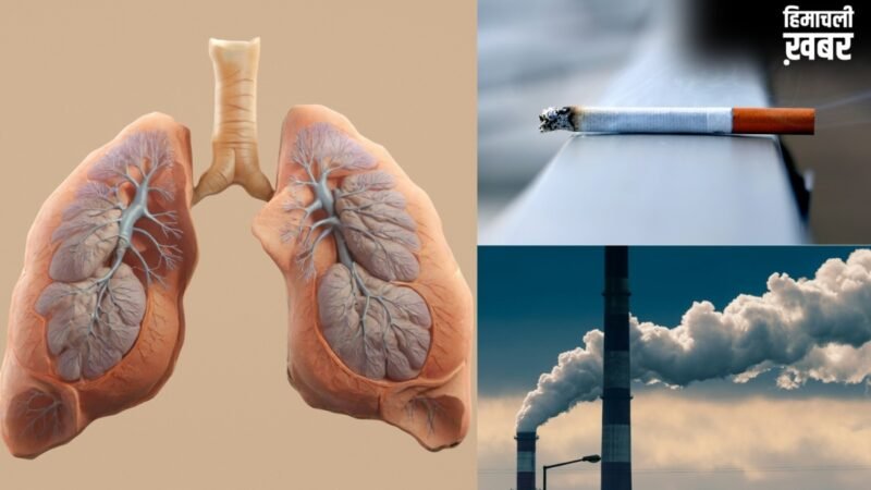 वायु प्रदूषण या स्मोकिंग? एक्सपर्ट से जानें फेफड़ों को किससे पहुंचता है ज्यादा नुकसान?​