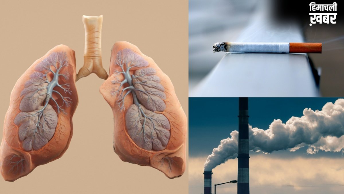 वायु प्रदूषण या स्मोकिंग? एक्सपर्ट से जानें फेफड़ों को किससे पहुंचता है ज्यादा नुकसान?​