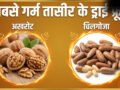 सबसे ज्यादा गर्म तासीर का कौन सा ड्राई फ्रूट होता है, क्या गर्मी में इससे करना चाहिए परहेज​