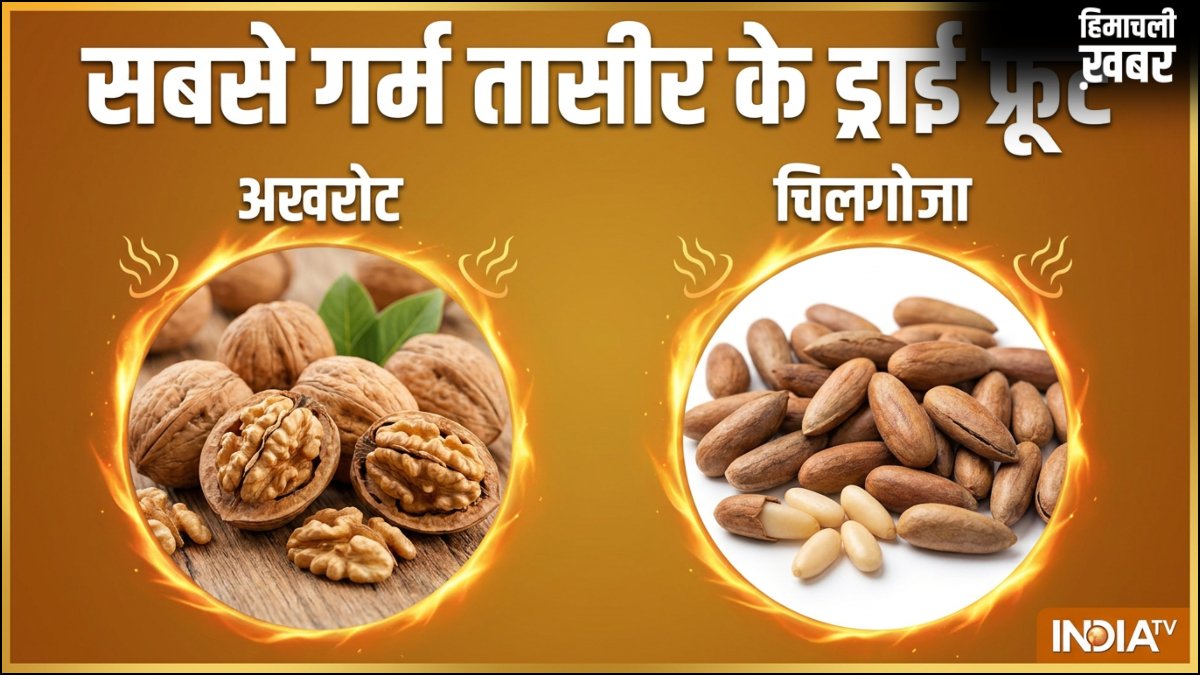 सबसे ज्यादा गर्म तासीर का कौन सा ड्राई फ्रूट होता है, क्या गर्मी में इससे करना चाहिए परहेज​