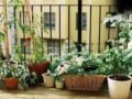 Old Tyre Reuse: Old Tyre Reuse का ये तरीका हो रहा Viral, अब आपका Garden भी पाएगा एक Designer Look​