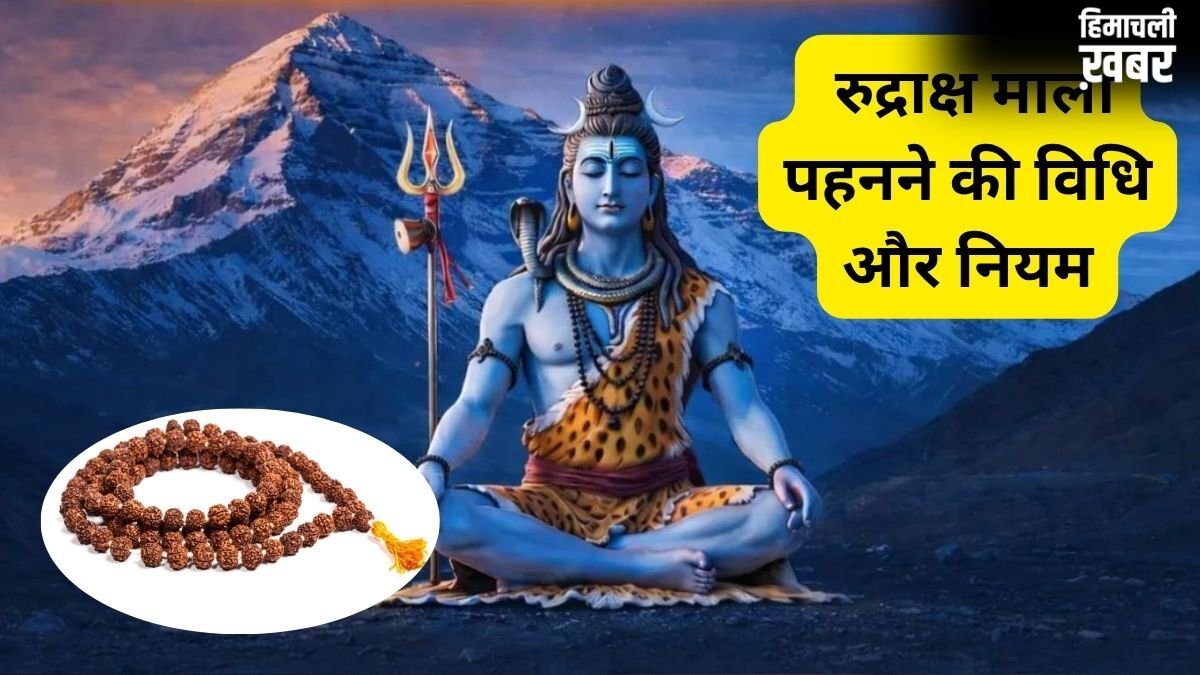 Rudraksh Mala Niyam: कब और कैसे धारण करें रुद्राक्ष? जानिए इस पवित्र बीच की माला पहनने के नियम​