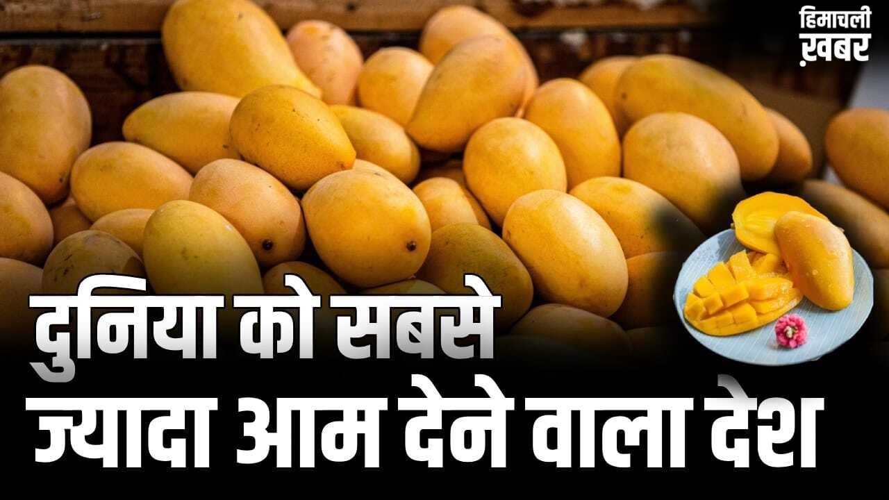Mango: दुनिया में सबसे ज्यादा आम उगाकर भी भारत टॉप एक्सपोर्टर क्यों नहीं, कौन सा देश सबसे आगे?​