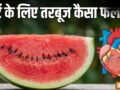 हार्ट के लिए फायदेमंद है तरबूज, ब्लड प्रेशर को भी रखता है कंट्रोल, इन खास गुणों से है भरपूर​