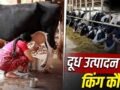 एमपी-बिहार नहीं… भारत का ये राज्य अकेले करता है दुनिया के कई देशों से ज्यादा दूध का उत्पादन; ये हैं टॉप 10 नाम​