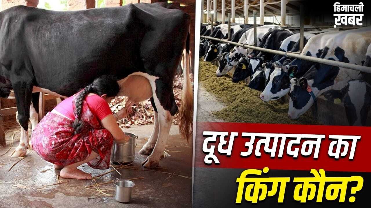 एमपी-बिहार नहीं… भारत का ये राज्य अकेले करता है दुनिया के कई देशों से ज्यादा दूध का उत्पादन; ये हैं टॉप 10 नाम​