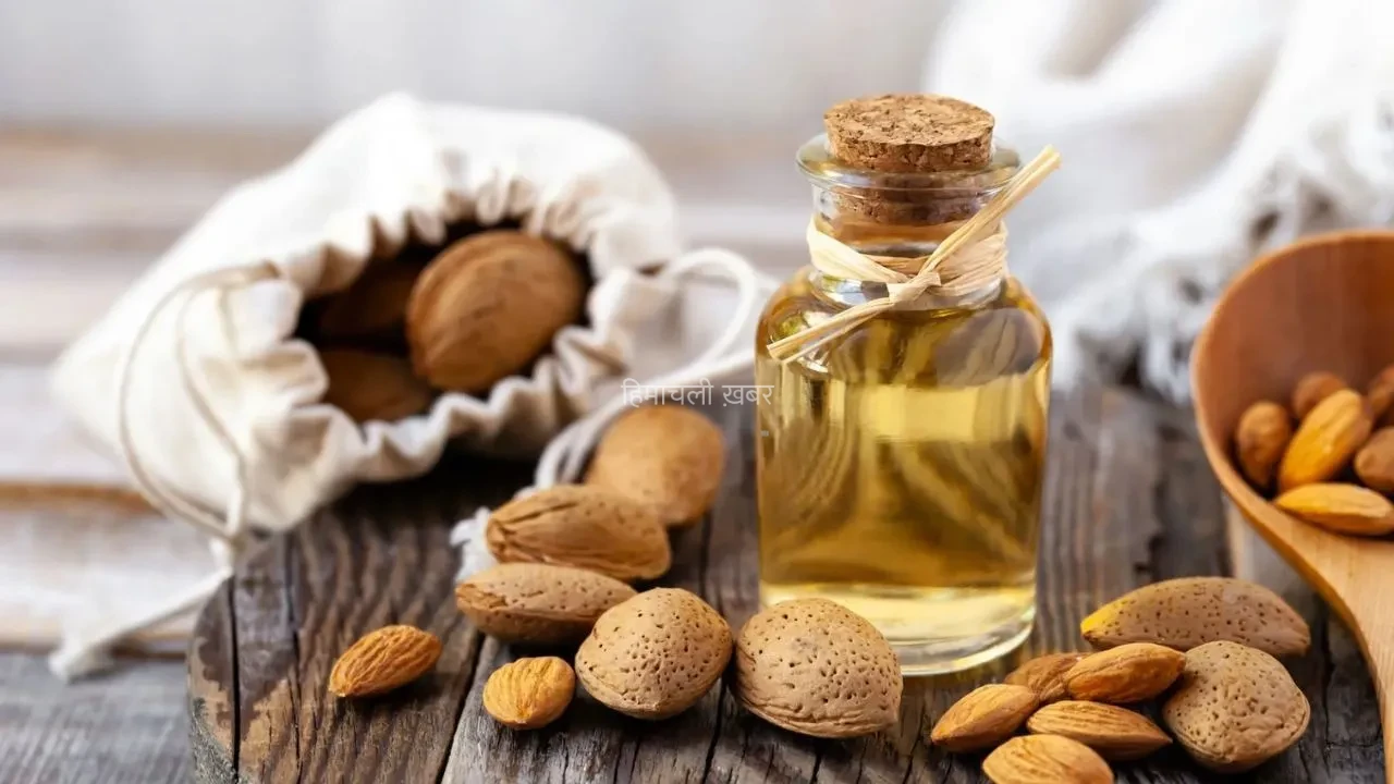 महंगे ब्यूटी प्रोडक्ट्स छोड़िए! बादाम का तेल दिलाएगा दमकती त्वचा और घने बाल, फटी एड़ियों से भी राहत​