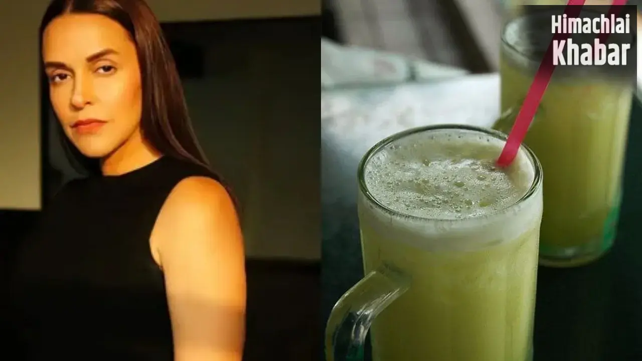 Neha Dhupia Health Tips: लो ब्लड प्रेशर में नेहा धूपिया का पसंदीदा ड्रिंक कितना फायदेमंद? एक्सपर्ट से जानें