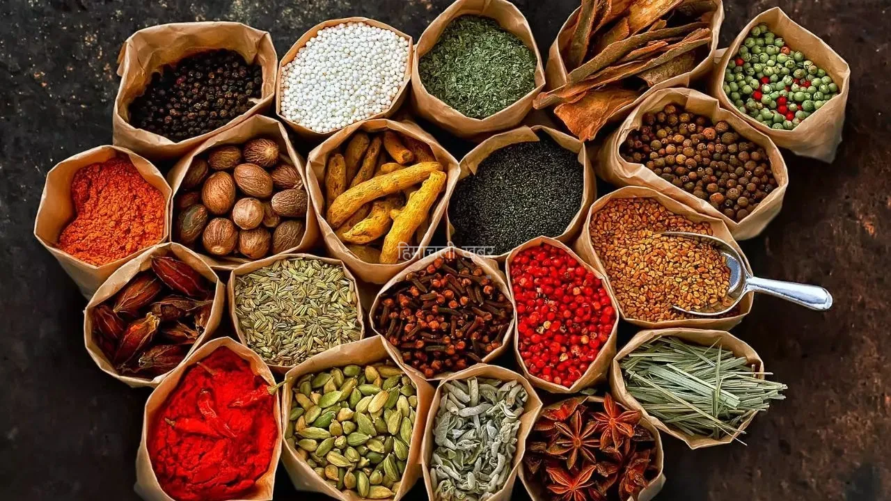 Ayurvedic Spices: सेहत के लिए किसी औषधि से कम नहीं हैं ये 7 आयुर्वेदिक मसाले, जानिए इनके जबरदस्त फायदे