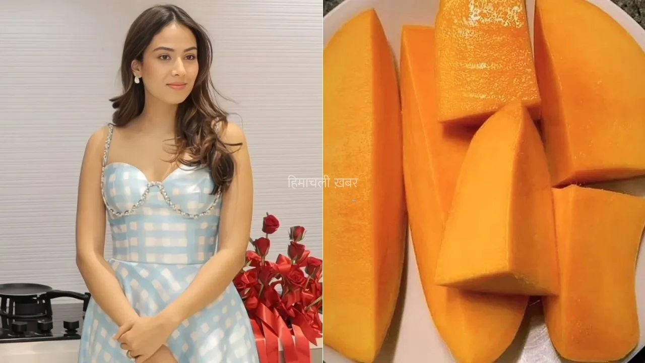 Mira Kapoor Diet: 2 साल तक आम से दूर रहीं मीरा कपूर, अब इस खास तरीके से खाती हैं ताकि शरीर में बना रहे संतुलन​