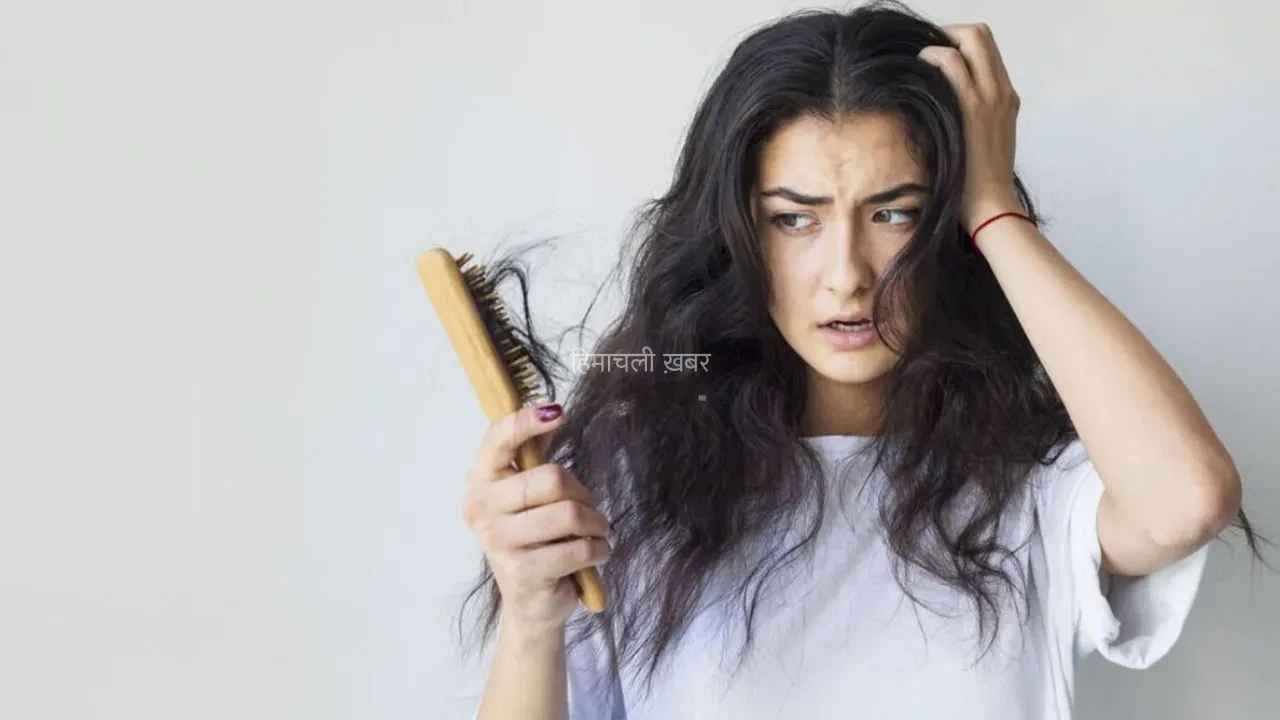 Rain Hair Care: बारिश में तेजी से झड़ रहे हैं बाल? कैसे करें इनकी देखभाल, यहां जानिए